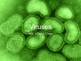 Viruses - Mrs. Hilton`s Crew