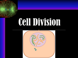 S7 - 6 - Cell Division Mitosis