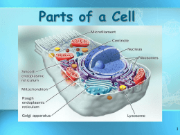 Parts of a Cell