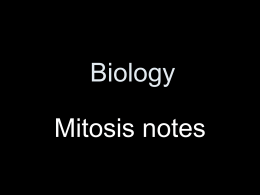 Mitosis Notes improved for honors