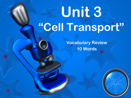 Unit 2 “Cells & Viruses”