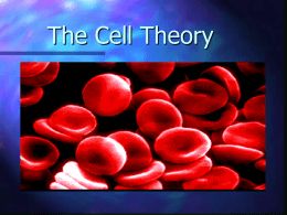 Modern Cell Theory