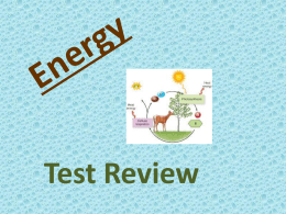 Energy PowerPoint Test Review