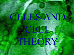 Cells and Cell Theory PowerPoint