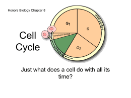 Cell Cycle - hudson.edu