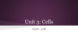 Unit 3: Cells