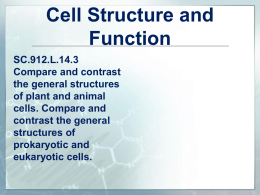 L.14.3 Cell Structure and Function Module
