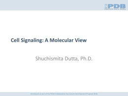 Cell Signaling: A Molecular View