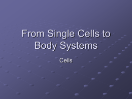 From Single Cells to Body Systems