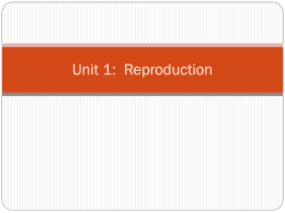 Reproduction - SSHS Science 9