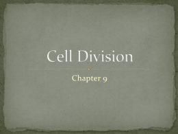 Cell Division - Rochester Community Schools