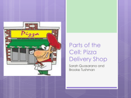 Parts of the Cell: Pizza Delivery Shop