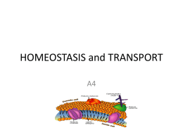 HOMEOSTASIS and TRANSPORT