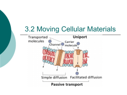 3.2 Moving Cellular Materials