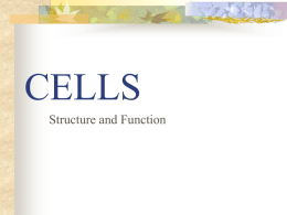 Cells - Structure and Function
