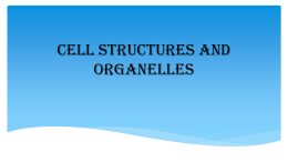 Cell Structures and Organelles