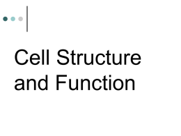 Cell Structure and Function.