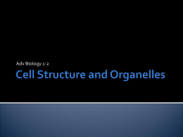 cell organelles notes adv. - San Diego Unified School District
