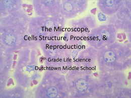 Cells and Genetics - Henry County Schools