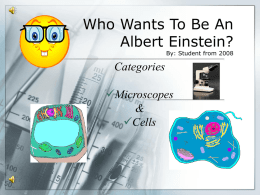 Who Wants To Be An Albert Einstein?