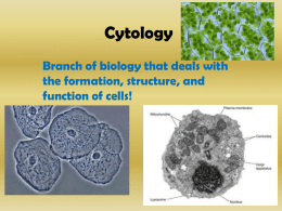Cell ppt 16
