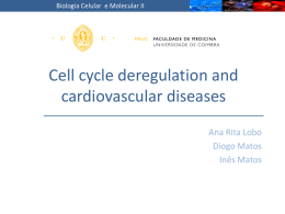 Cell cycle`s deregulation and cardiovascular diseases