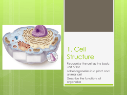 1. Cell Structure - NCEA Level 2 Biology