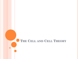 Cells and Cell Theoryx