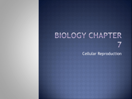 Biology Chapter 7 - Central Lyon CSD