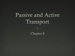 Passive and Active Transport