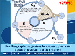 Cell Cycle and Mitosis ppt