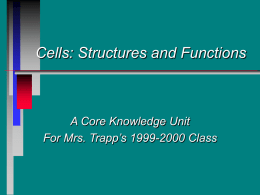 Cells: Structures and Functions