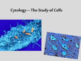Cytology * The Study of Cells