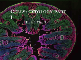 Cells: cytology part I