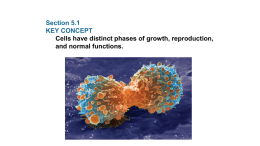 Section 5.4 KEY CONCEPT Many organisms reproduce by cell