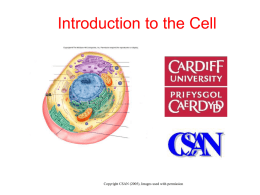 the cell - Learning Central