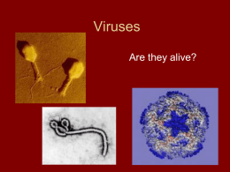 Viruses - Killeen ISD