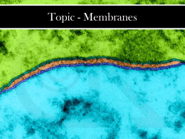 Membrane Structure and Transport