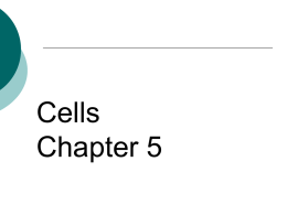 Cellular Organelles