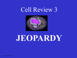 Cell Reveiw Jeopardy