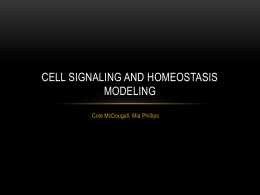 Cell Signaling and Homeostasis Modeling