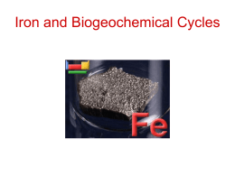 Iron and Biogeochemical Cycles