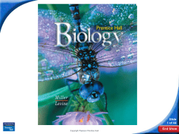 Insects - Biology Junction