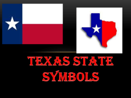 Texas State Symbols