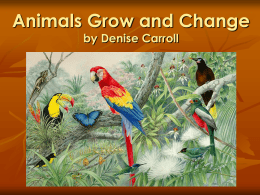 Animals Grow and Change (Powerpoint