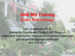 MG Training Entomology 2008