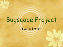 Bugscope Powerpoint