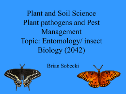Plant and Soil Science Plant pathogens and Pest Management