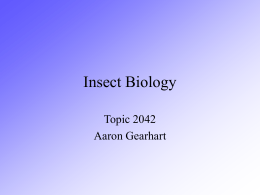 Entomology/Insect Biology