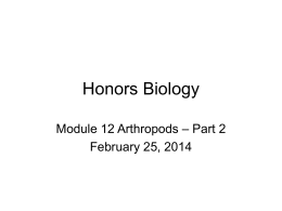 Honors Biology - WordPress.com